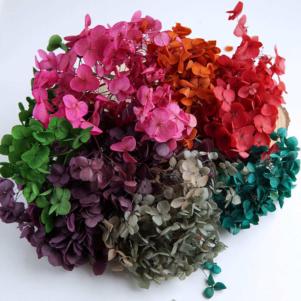 Wedding Supply Bulk - Bulk Color Absorbed Dried Hydrangea Preserved