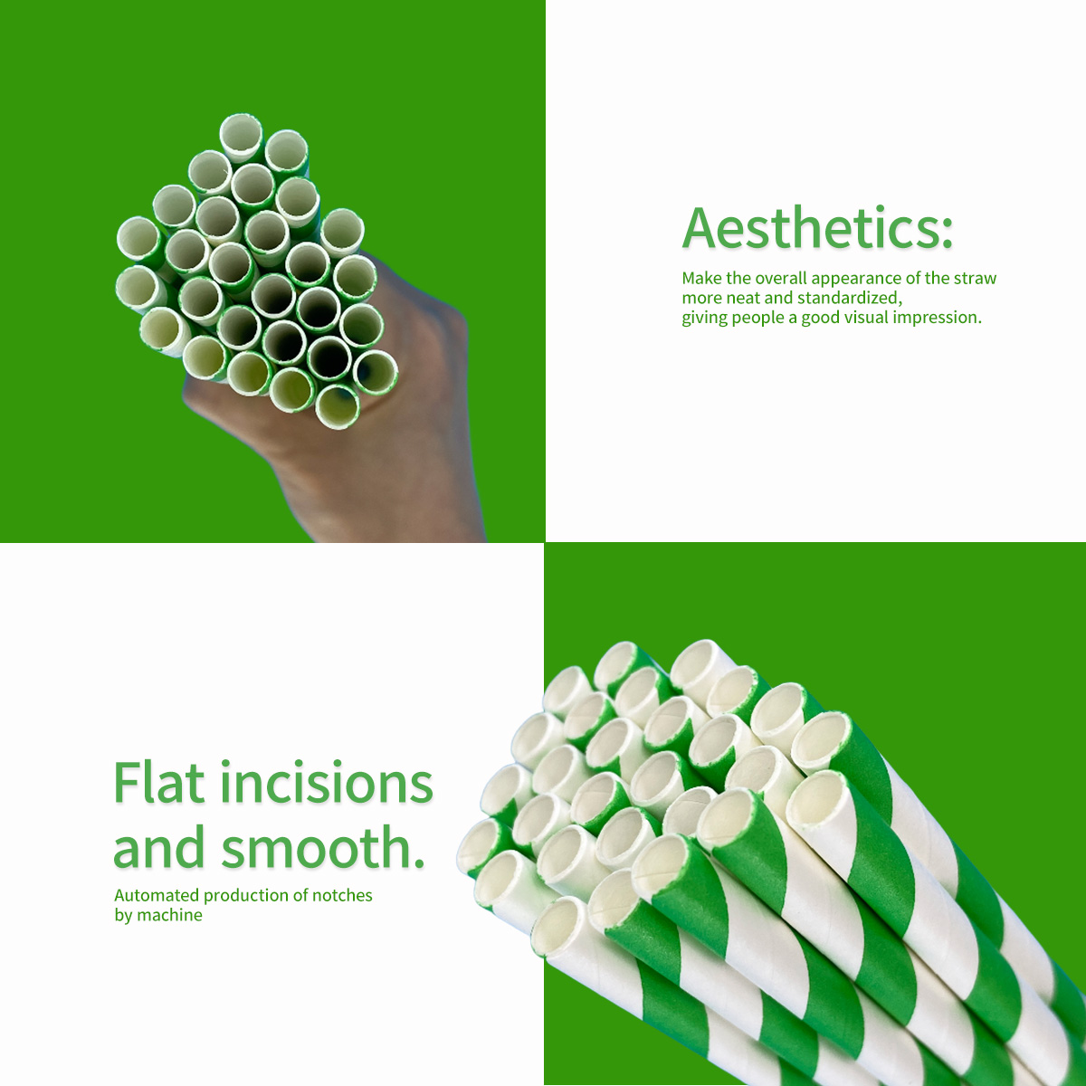 100 Pcs Biodegradable Green an - Wedding Supply Bulk review and price