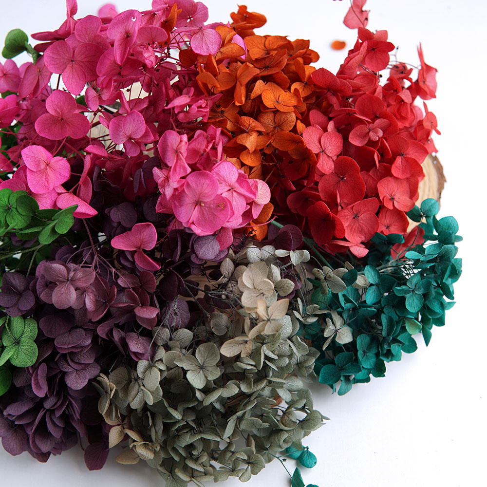 Bulk Color Absorbed Dried Hydr - Wedding Supply Bulk review and price
