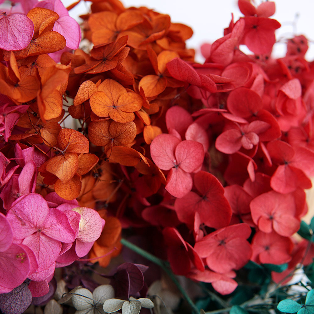 Bulk Color Absorbed Dried Hydr - Wedding Supply Bulk review and price